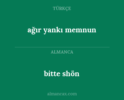 ağır yankı memnun - bitte shön
