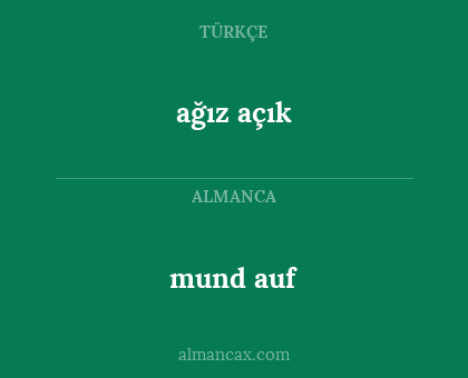 ağız açık - mund auf
