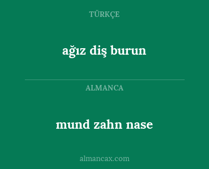 ağız diş burun - mund zahn nase