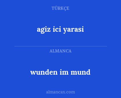 wunden im mund - agiz ici yarasi