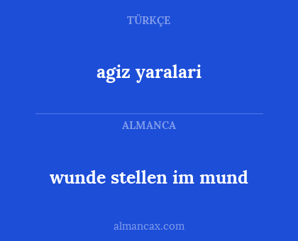 wunde stellen im mund - agiz yaralari