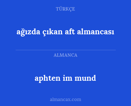 ağızda çıkan aft almancası - aphten im mund