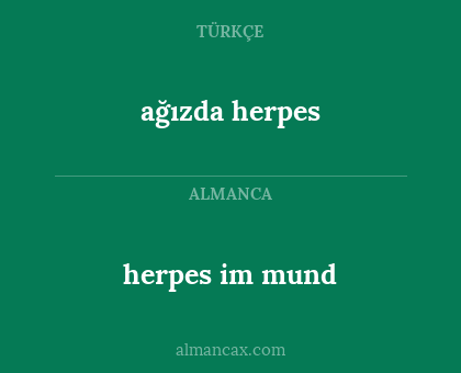 herpes im mund - ağızda herpes