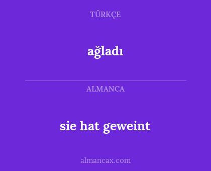 sie hat geweint - ağladı