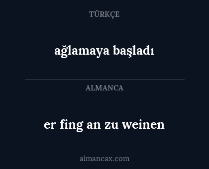 er fing an zu weinen - ağlamaya başladı