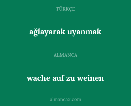 wache auf zu weinen - ağlayarak uyanmak