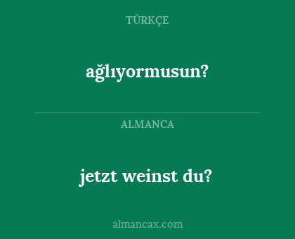ağlıyormusun? - jetzt weinst du?