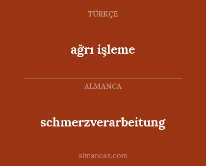 ağrı işleme - schmerzverarbeitung