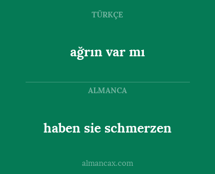 haben sie schmerzen - ağrın var mı