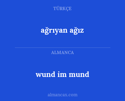 ağrıyan ağız - wund im mund
