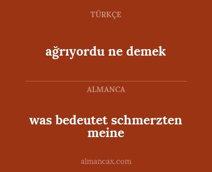 ağrıyordu ne demek - was bedeutet schmerzten meine