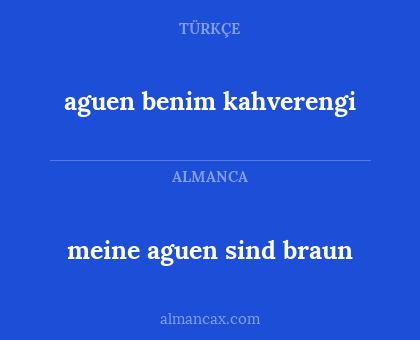 meine aguen sind braun - aguen benim kahverengi