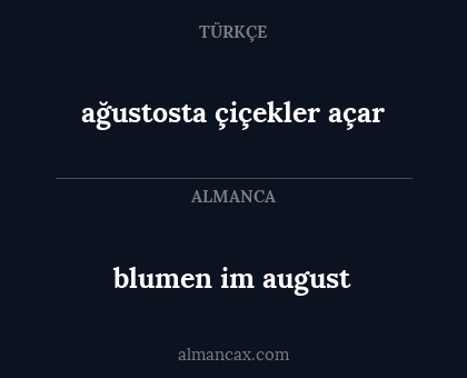 blumen im august - ağustosta çiçekler açar