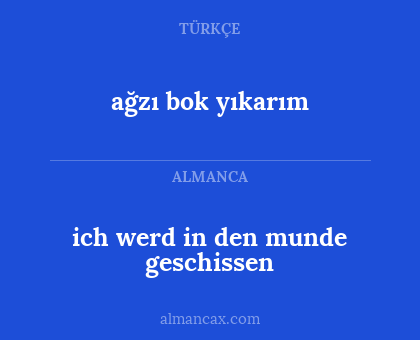 ağzı bok yıkarım - ich werd in den munde geschissen