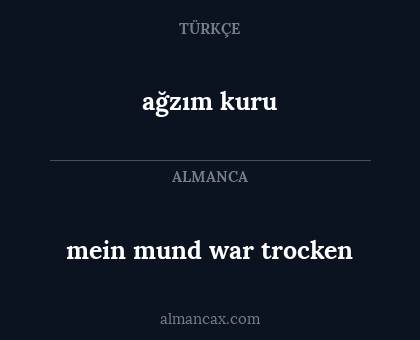 ağzım kuru - mein mund war trocken