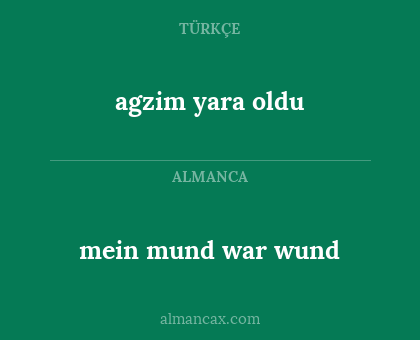 agzim yara oldu - mein mund war wund
