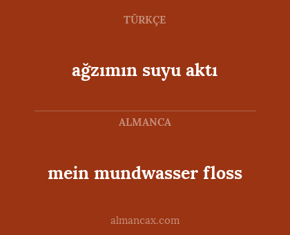 ağzımın suyu aktı - mein mundwasser floss