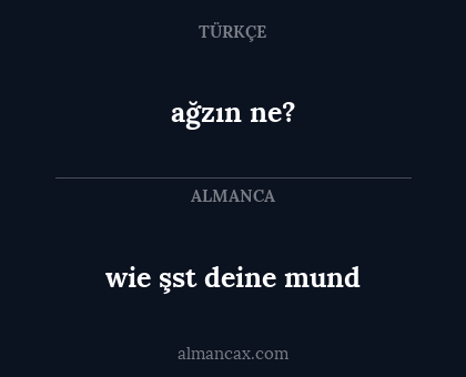 wie şst deine mund - ağzın ne?