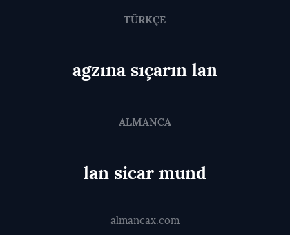 agzına sıçarın lan - lan sicar mund