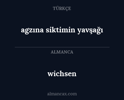 wichsen - agzına siktimin yavşağı