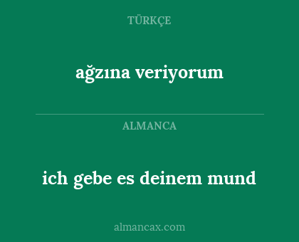 ağzına veriyorum - ich gebe es deinem mund