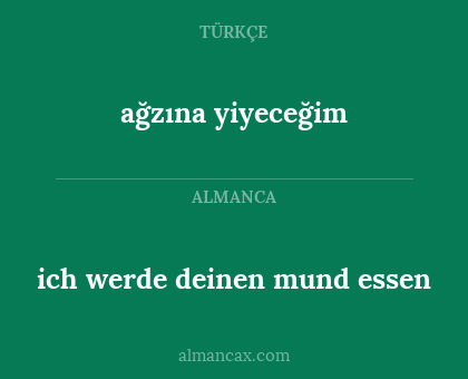 ich werde deinen mund essen - ağzına yiyeceğim
