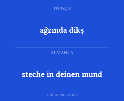 ağzında dikş - steche in deinen mund
