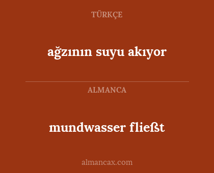 ağzının suyu akıyor - mundwasser fließt