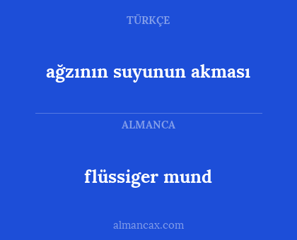 ağzının suyunun akması - flüssiger mund