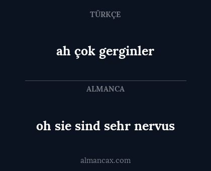 ah çok gerginler - oh sie sind sehr nervus