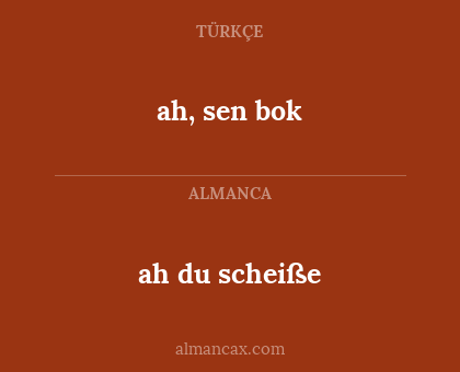 ah du scheiße - ah, sen bok