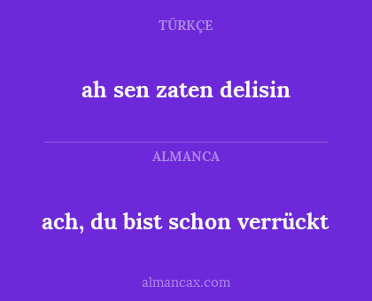 ach, du bist schon verrückt - ah sen zaten delisin
