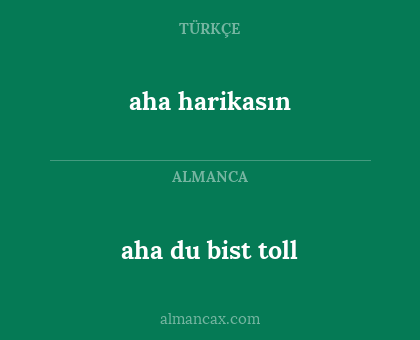 aha harikasın - aha du bist toll
