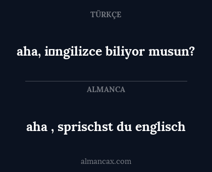 aha , sprischst du englisch - aha, i̇ngilizce biliyor musun?