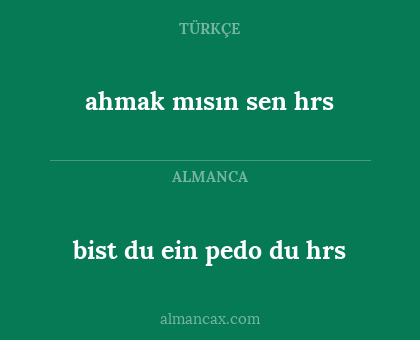 bist du ein pedo du hrs - ahmak mısın sen hrs