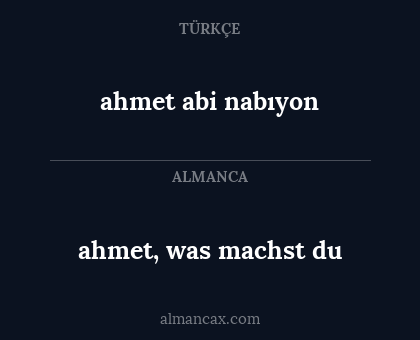 ahmet, was machst du - ahmet abi nabıyon