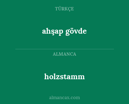 ahşap gövde - holzstamm