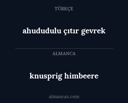 knusprig himbeere - ahududulu çıtır gevrek