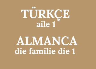 aile+1-die+familie+die+1.png