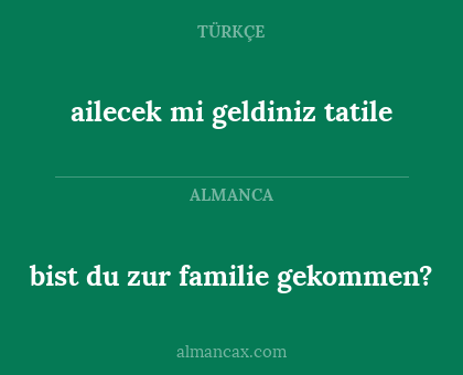 ailecek mi geldiniz tatile - bist du zur familie gekommen?