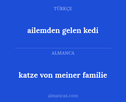 katze von meiner familie - ailemden gelen kedi