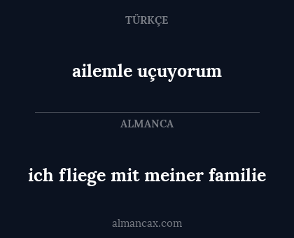 ich fliege mit meiner familie - ailemle uçuyorum