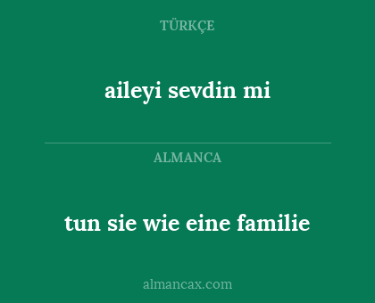 aileyi sevdin mi - tun sie wie eine familie