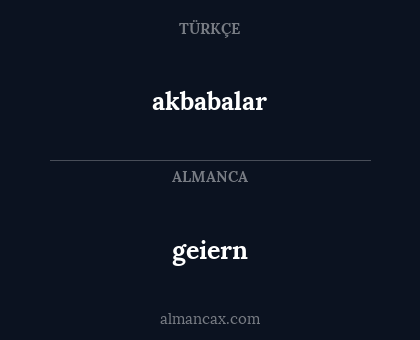 geiern - akbabalar