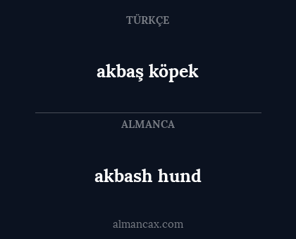 akbaş köpek - akbash hund