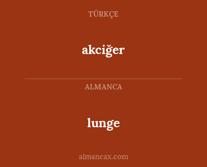lunge - akciğer