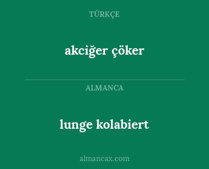 lunge kolabiert - akciğer çöker