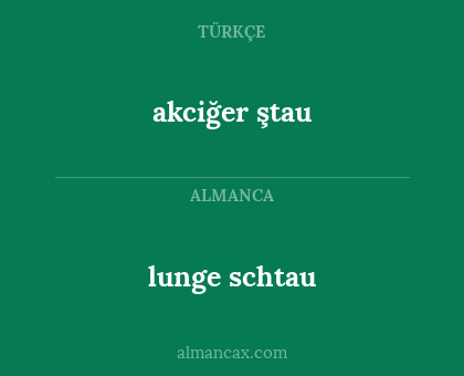 akciğer ştau - lunge schtau