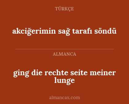 ging die rechte seite meiner lunge - akciğerimin sağ tarafı söndü