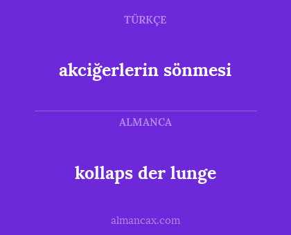 kollaps der lunge - akciğerlerin sönmesi